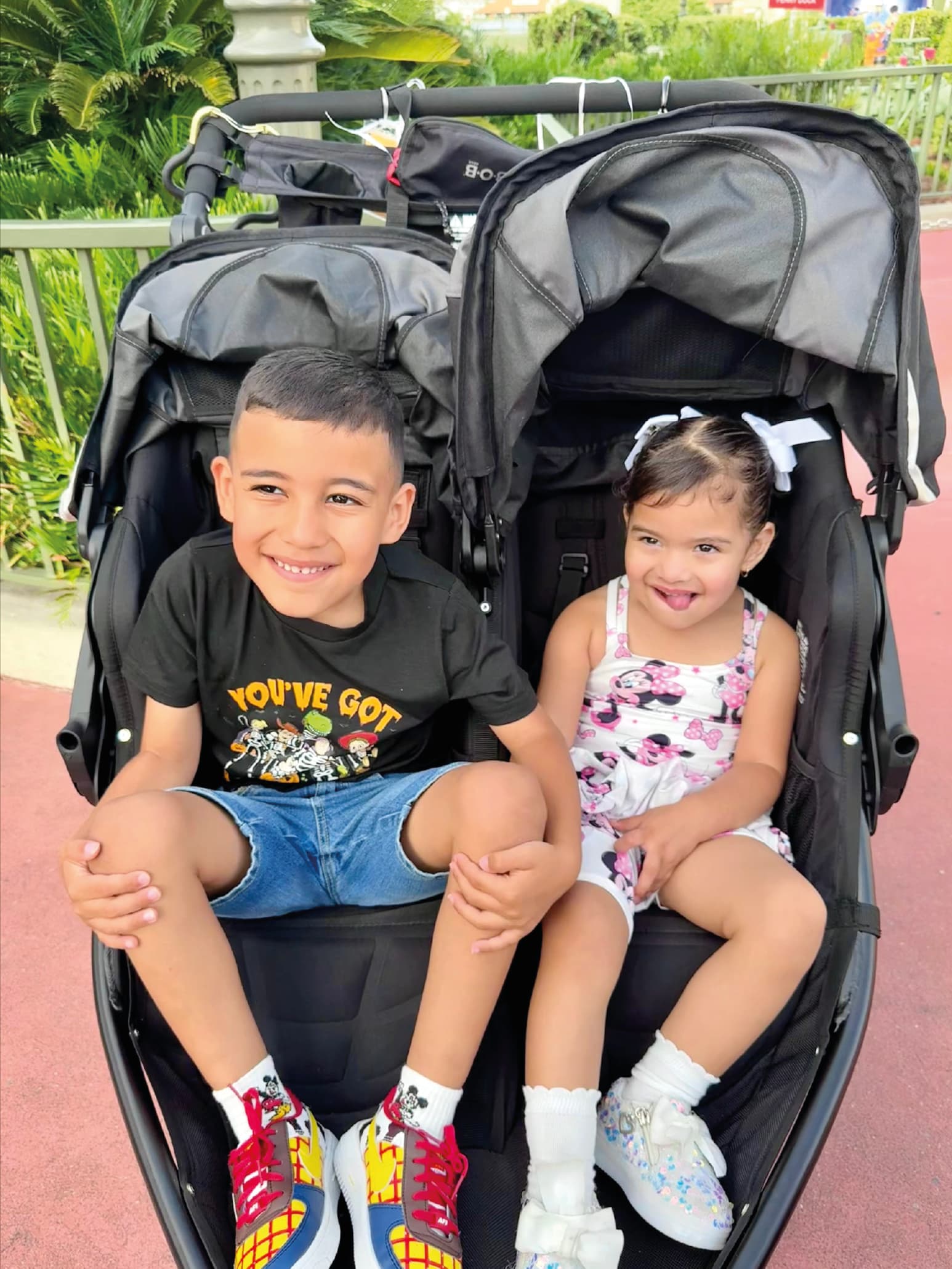 Beta Stroller Rental gallery photo 4