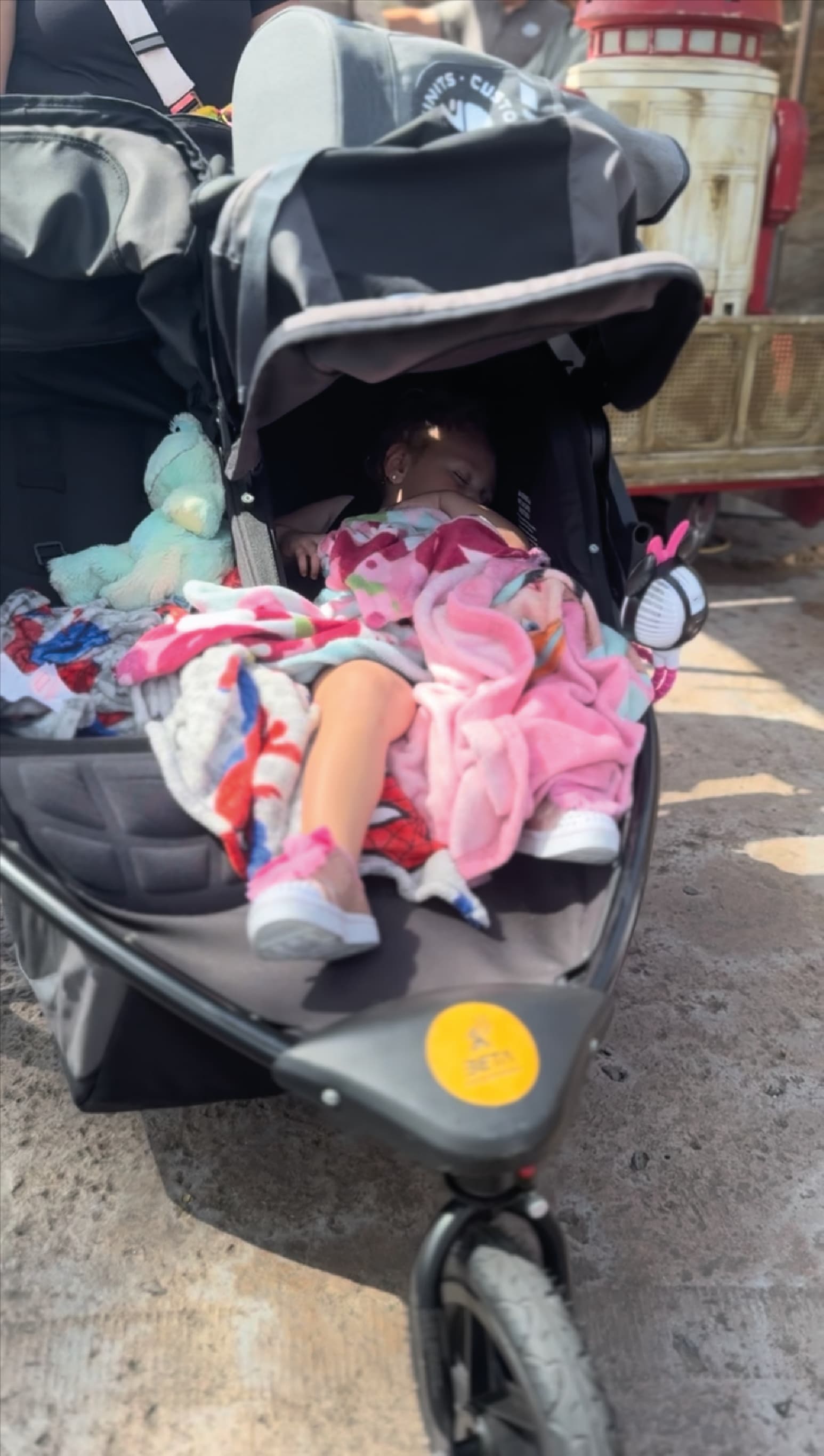 Beta Stroller Rental gallery photo 6