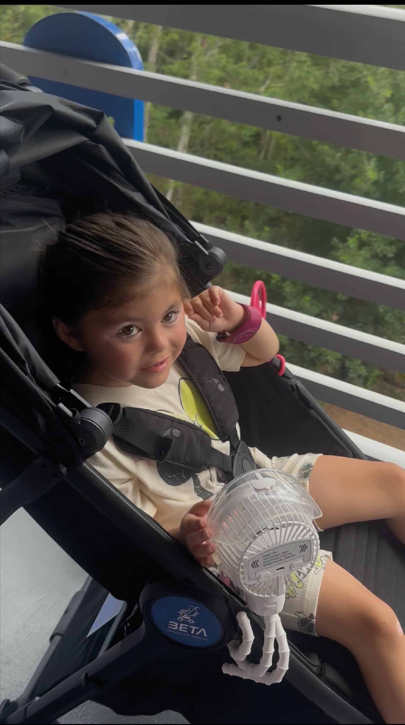 Beta Stroller Rental gallery photo 8